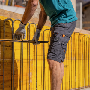 Bermuda Ghibli de Kapriol Bermuda Ghibli de Kapriol